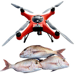 SwellPro SplashDrone 4 Waterproof Drone for Fishing